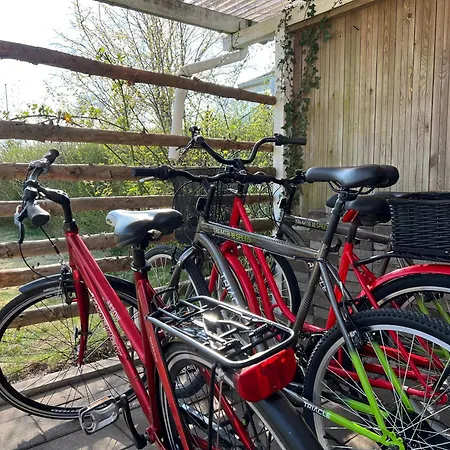 Goodvibe House By Kirija Holiday home *